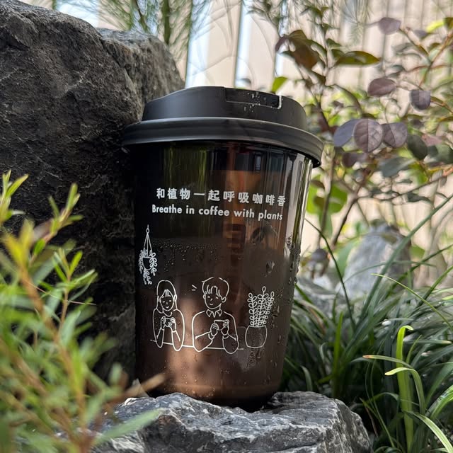 Mended takeaway coffee cup among plants and natural stone